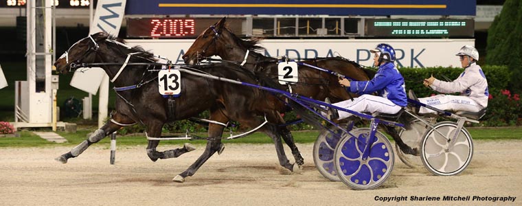 Auckland Trotting Club – 27 April 2018