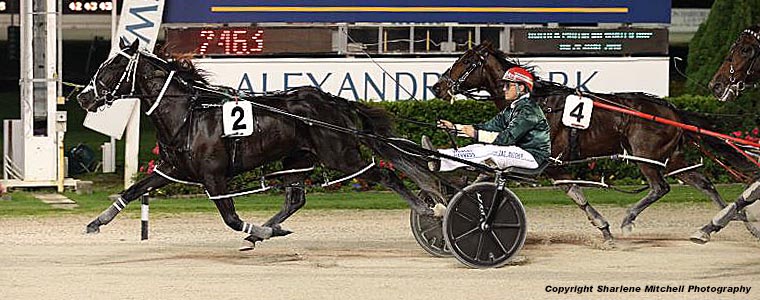 Auckland Trotting Club – 4 May 2018