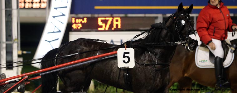 Auckland Trotting Club – 15 June 2018