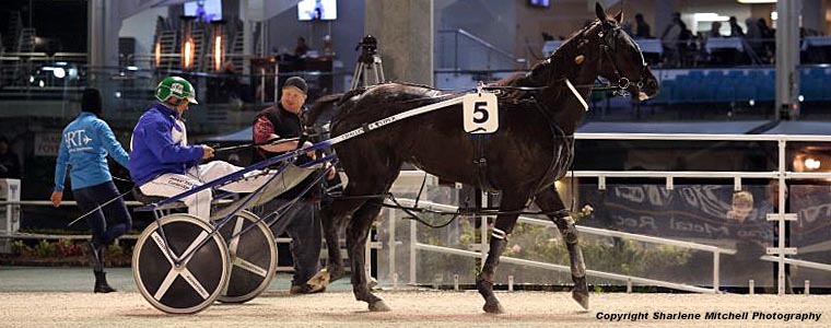 Auckland Trotting Club – 1 June 2018