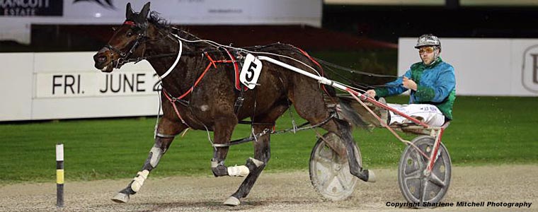 Auckland Trotting Club – 22 June 2018