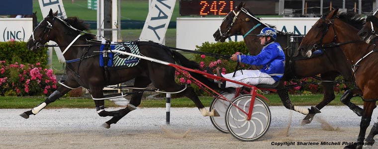 Auckland Trotting Club – 15 February 2019