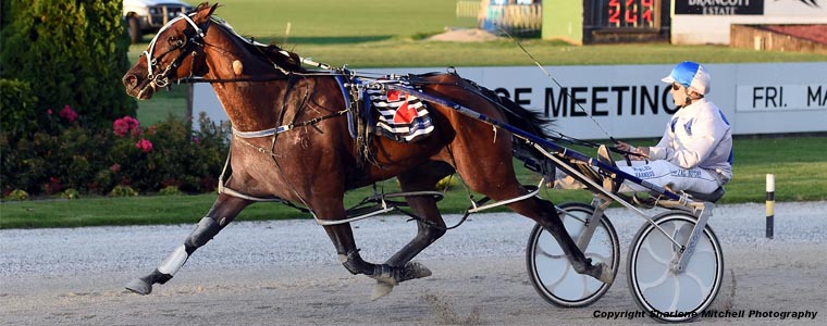 Auckland Trotting Club – 15 March 2019