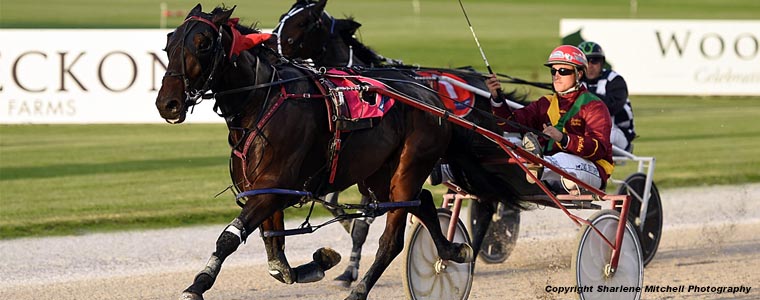 Auckland Trotting Club – 5 April 2019